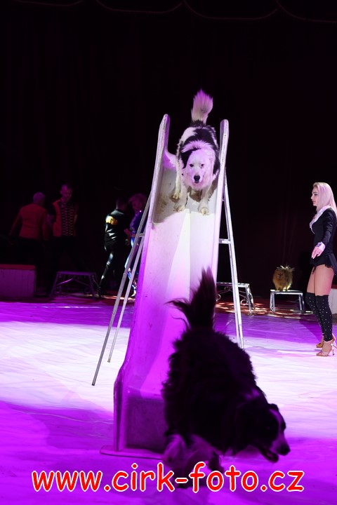 DSC_5725 (Kopírovat)