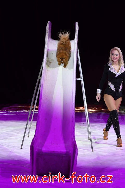 DSC_5729 (Kopírovat)