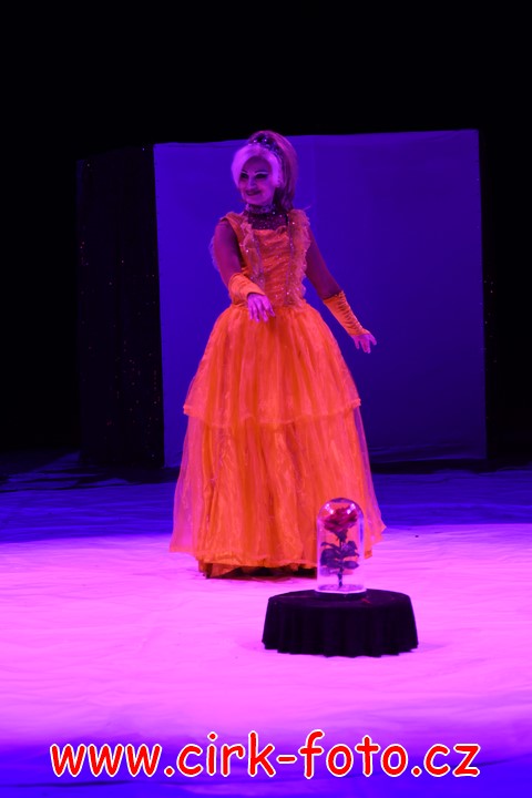 DSC_5765 (Kopírovat)