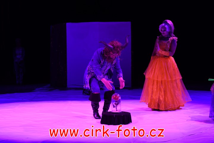 DSC_5772 (Kopírovat)