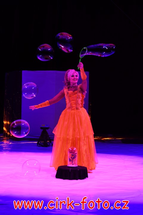 DSC_5776 (Kopírovat)