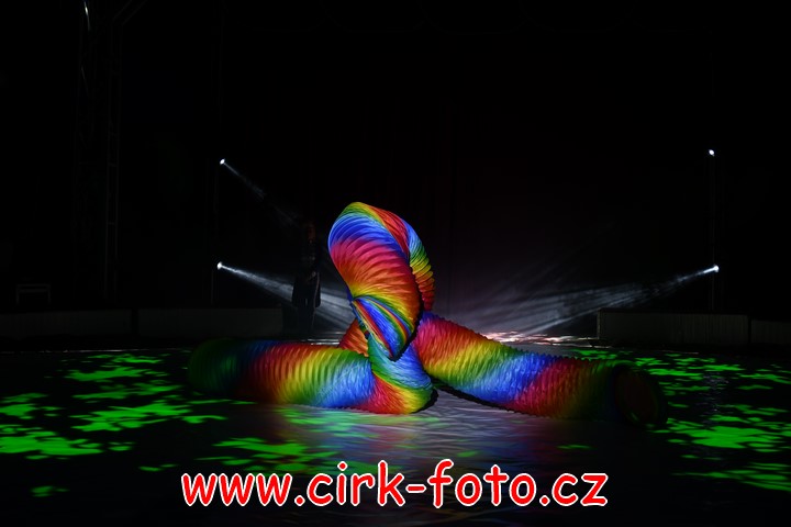 DSC_5945 (Kopírovat)