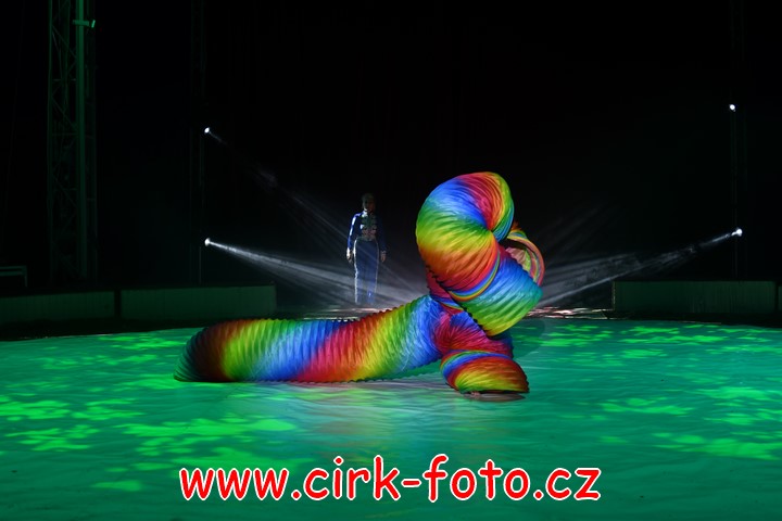 DSC_5946 (Kopírovat)