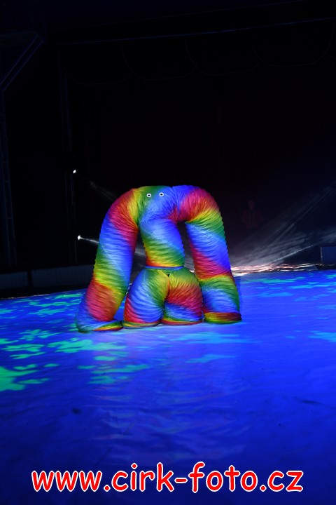 DSC_5948 (Kopírovat)