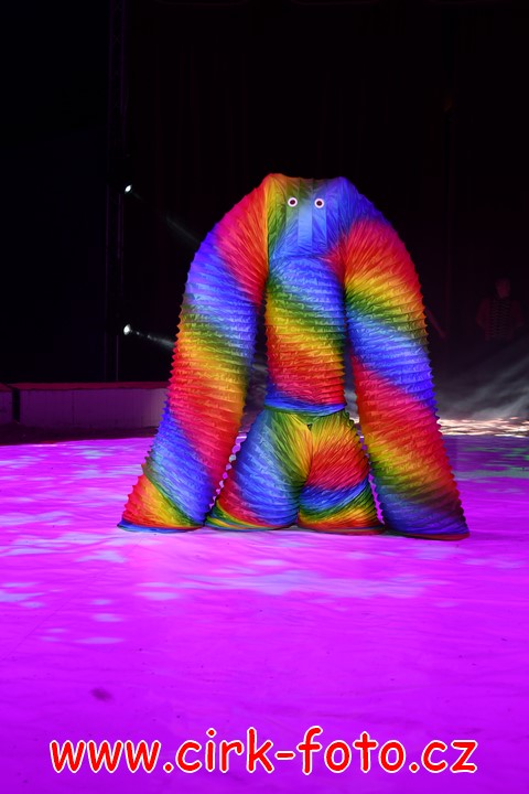 DSC_5949 (Kopírovat)