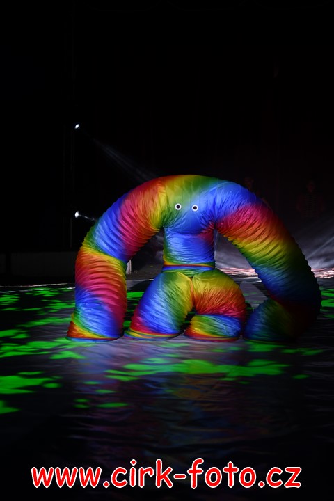 DSC_5950 (Kopírovat)