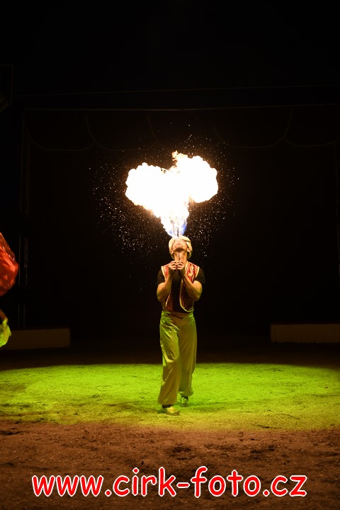 DSC_6050 (Kopírovat)