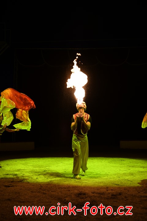 DSC_6051 (Kopírovat)