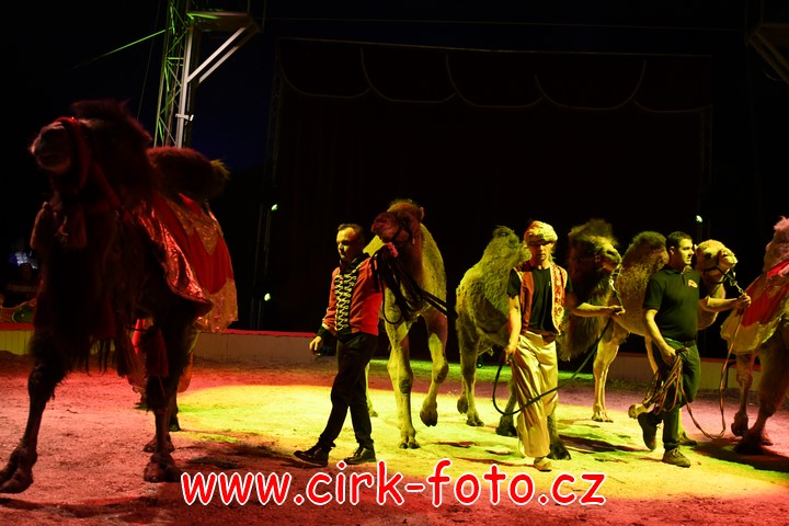 DSC_6056 (Kopírovat)