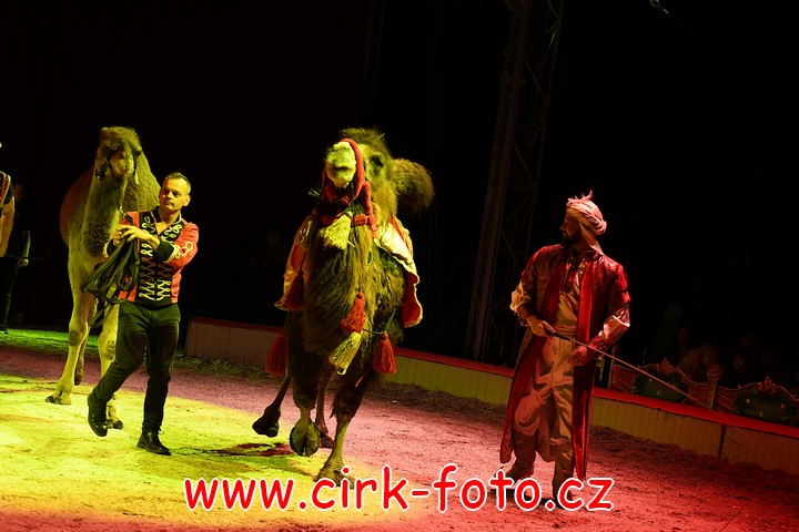 DSC_6057 (Kopírovat)