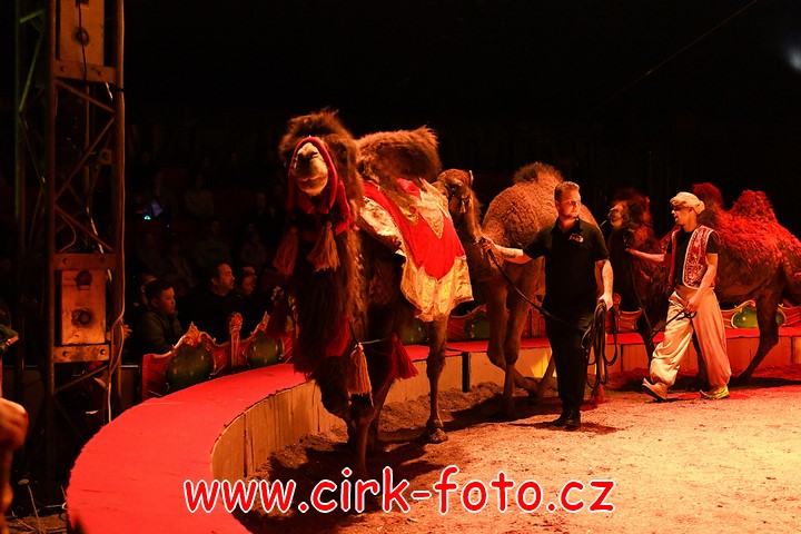 DSC_6069 (Kopírovat)