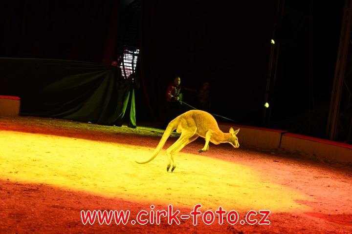 DSC_6077 (Kopírovat)