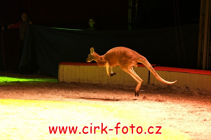 DSC_6080 (Kopírovat)