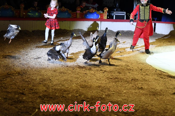 DSC_6108 (Kopírovat)