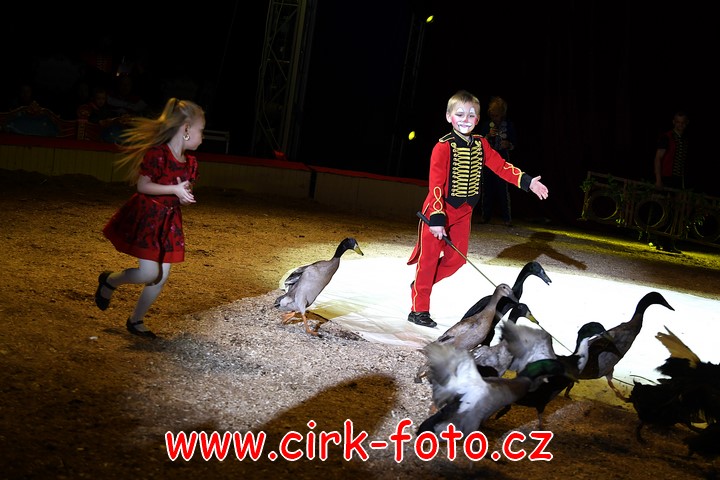 DSC_6110 (Kopírovat)