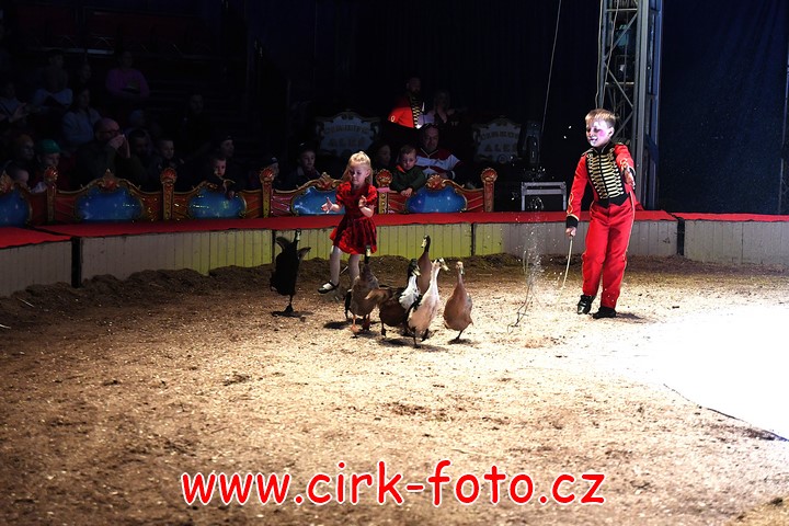 DSC_6111 (Kopírovat)