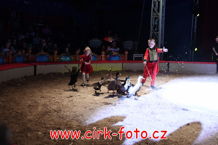 DSC_6112 (Kopírovat)