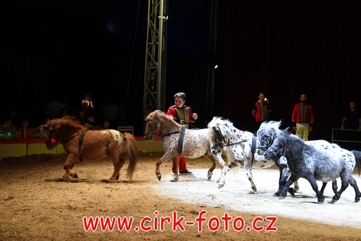 DSC_6125 (Kopírovat)