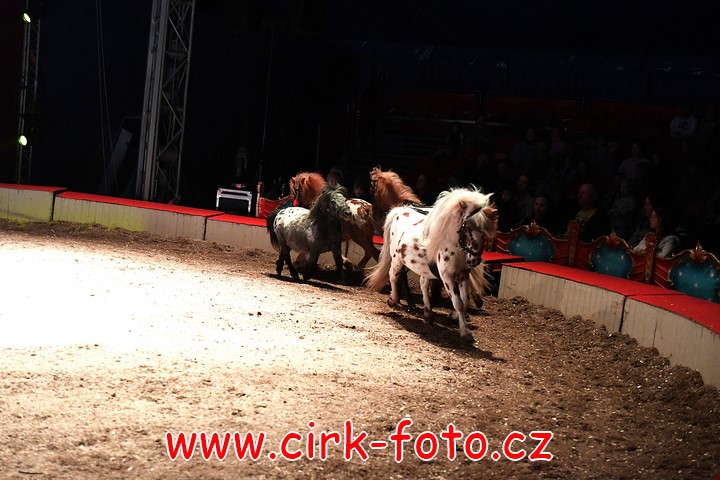 DSC_6130 (Kopírovat)