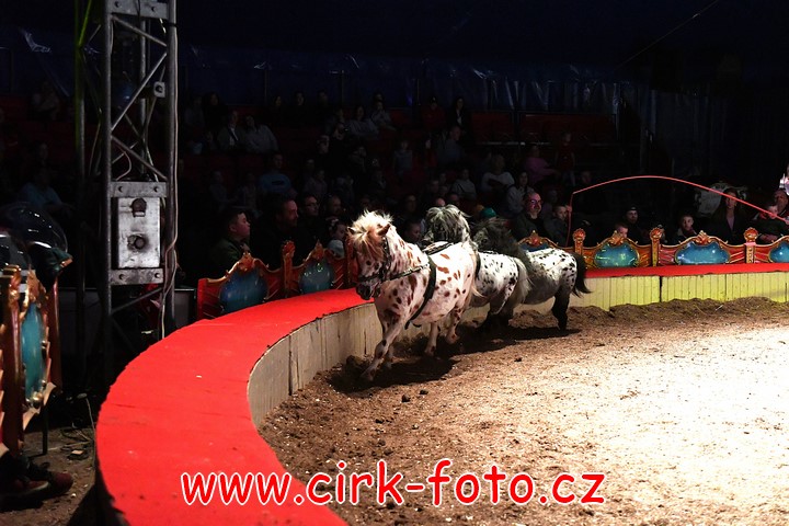 DSC_6132 (Kopírovat)