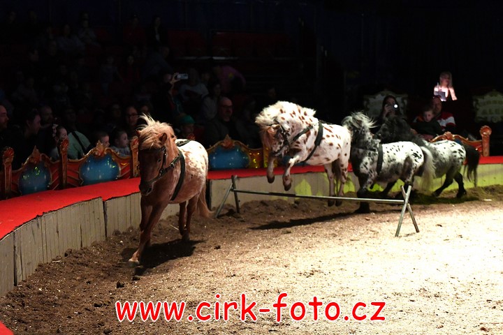 DSC_6138 (Kopírovat)