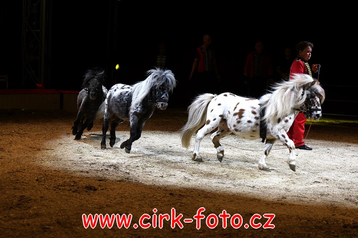 DSC_6149 (Kopírovat)