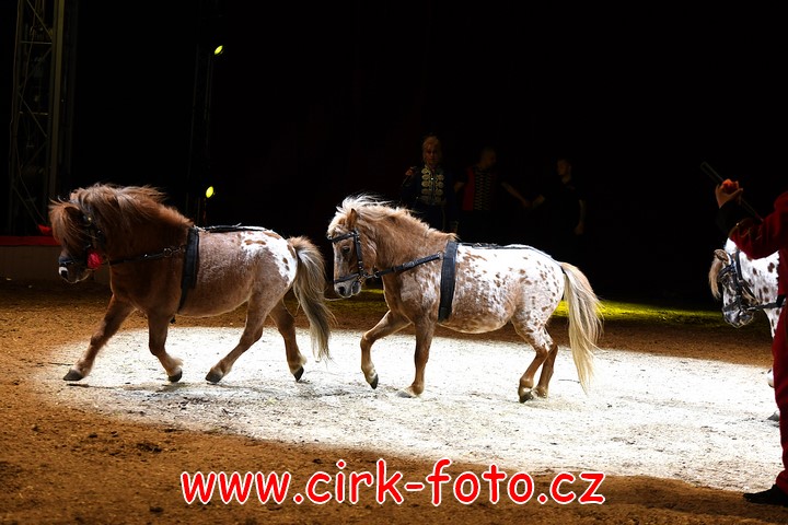 DSC_6152 (Kopírovat)