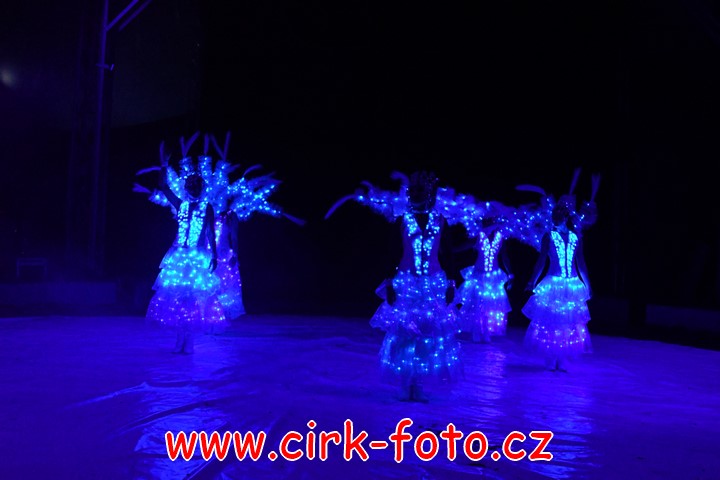 DSC_6311 (Kopírovat)