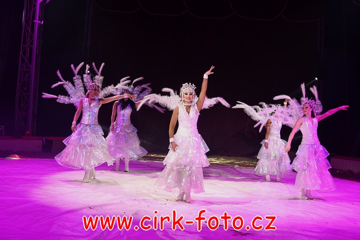 DSC_6318 (Kopírovat)