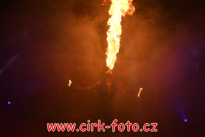 DSC_7137 (Kopírovat)