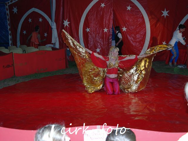 SAM_3394