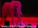 SAM_1290