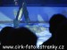 SAM_1348