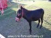 SAM_5169