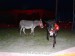 SAM_5192