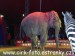 SAM_5382