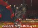 SAM_5635