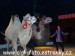 SAM_6112