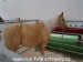 SAM_7755