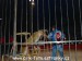 SAM_8722