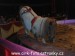 SAM_9237