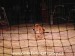 SAM_9763