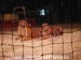 SAM_9765