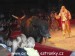 SAM_9873