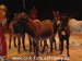 SAM_9886