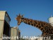 SAM_0825