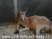 SAM_0848