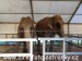 SAM_0856