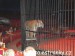 SAM_0872
