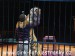 SAM_0901